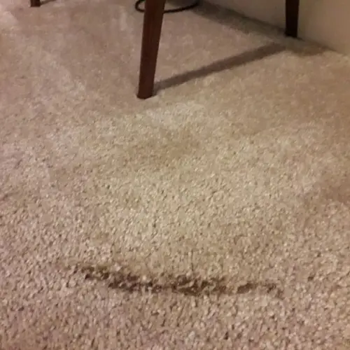Carpet Burn Repair Wollongong