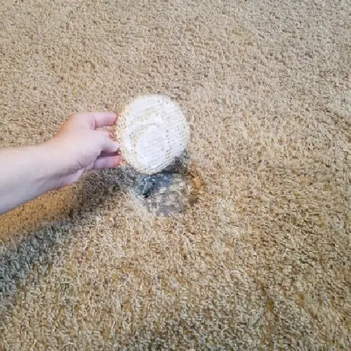 Carpet Hole Repair Wollongong